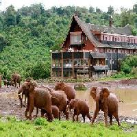 Las mejores ofertas de Fairmont the Ark Nairobi 